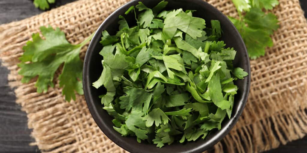 Fresh Herbs in Black Bowl