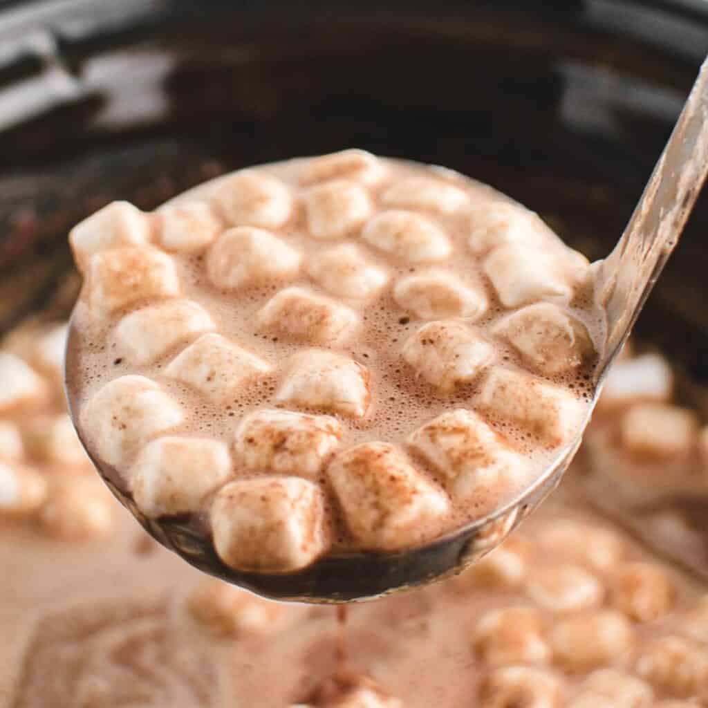 Hot Chocolate IG